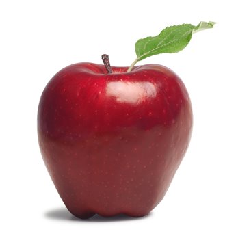 Apple Pie Recipe. Cream, start by preheating theapple pie cuomo dutch Apple Pie Recipe. Cream, start by preheating theapple pie cuomo dutch