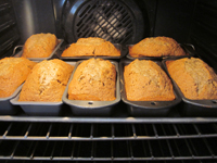 Best Zucchini Bread Recipe