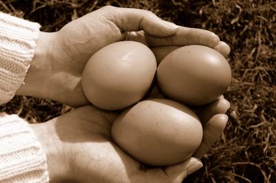 Eggs in hand