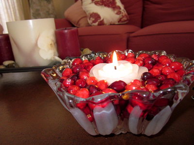 Cranberry Centerpiece with Floating Candle